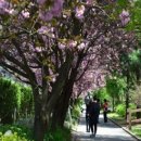 강원도립화목원 이미지