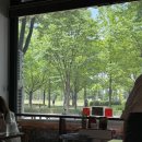 마르지노 - 수원시 팔달구 중부대로7번길 6 | 포폴로피자 웨이팅 후기_마르게리타, 클라시카 피자_꿀, 올리브오일, 할라피뇨 요청하기!