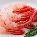 독도꽃새우 이미지