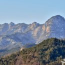 대야산자연휴양림 이미지