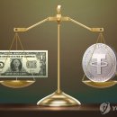 스테이블루 이미지