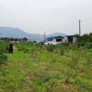 남규농장 이미지