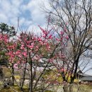 신수미정신건강의학과의원 이미지