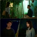 나의 해방일지 이미지