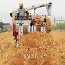 보리모바일 이미지
