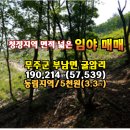 무주부동산/무주임야(부남면,57,539평)청정지역 임도 접한 면적 넓은 임야 매매 5천원(3.3㎡) 이미지