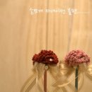 아마폴라니팅앤크로쉐