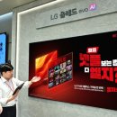 459 티티엘뉴스