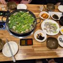 신참면