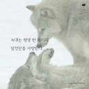 이쁜늑대