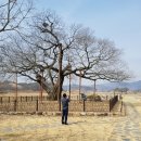 동신주막 이미지