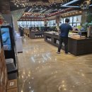 펫지살롱 이미지