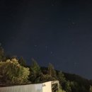 도그앤스테이 이미지