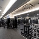 모조 피트니스 이미지