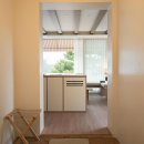 스테이자유 이미지