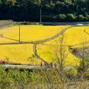 김한수농장 이미지