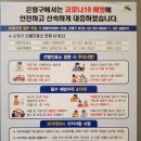 코로나19 은평구대책(선별진료소) 이미지