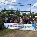 내덕2동 행정복지센터 충청타임즈