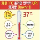 렛츠점핑다이어트&체온테라피