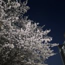 담양여자중학교 | D-11