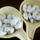 강강술래(소리와의 이미지