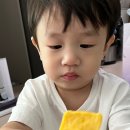 스위시구리