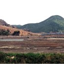 보전간척지 이미지