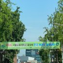 미사TOP태권도장 | 망월동 미사TOP태권도장 - 교대총장기 입상소식