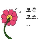 그집불쭈꾸미