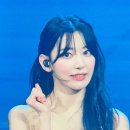 호두마루 이미지