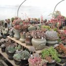 둘리농장 이미지