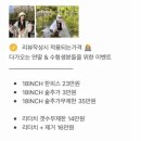 엔비오오붙임머리 이미지