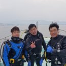 인투더씨 네이버블로그