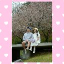 뮤뮤헤어 | 강남 메이크업샵 웨딩｜뮤뮤아크청담 벚꽃스냅 캐주얼 웨딩 촬영 후기