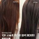 명지 수동물병원 | 명지미용실 동백살롱 후기 1대1 시술로 톤다운 염색 제대로 만족한 날