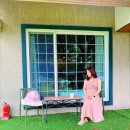 똘내미집 이미지