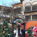 악쓰는하마 코인노래연습장 배곧점 이미지