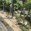 염소와닭백숙