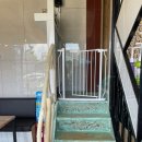 개밥주는여자 이미지