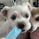 성수 제이펍 | 과거의 나