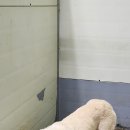 창원시 동물보호센터 동물병원 이미지