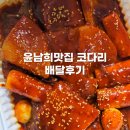윤남희맛집코다리 이미지