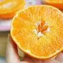 월광농장 이미지