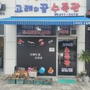 고래의꿈 수족관 이미지