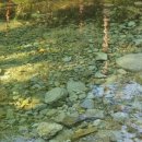 구룡령황토펜션 이미지