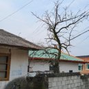 성상1리 이미지