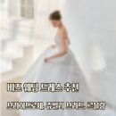 (주)다산비즈 | W3. 비즈 드레스 맛집 3대장 비교 추천(브라이드 로체, 쥬빌리 브라이드, 르블랑)