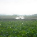 연정농장 이미지