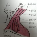 원미한의원 네이버블로그
