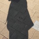 유앤정헤어